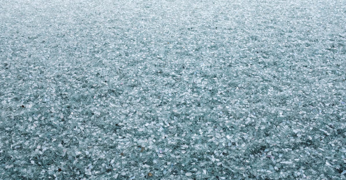 What to Consider When Installing Pump Skids in Food Production Facilities